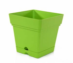 Mintra Home Garden Pots -Plant, Square, Pot, 6.5inch, (Lime Green), Ideal for Planting Flowers, Gardening, Plants, Durable, Indoor, Outdoor, Patio, Lawn and Garden