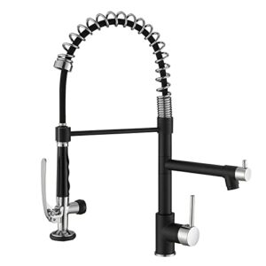 Fapully Kitchen Sink Faucet,Pull Down Kitchen Faucet,Black and Chrome Kitchen Faucet with Sprayer,Single Handle Single Hole for Kitchen Sinks