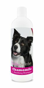 Healthy Breeds Border Collie Chamomile Soothing Dog Shampoo 8 oz