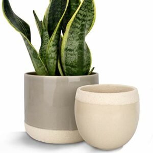 Ceramic Flower Plant Pots - 6.5 + 4.9 Inch Indoor Planters, Plant Containers with Beige and Cracked Detailing (Grey and Beige)