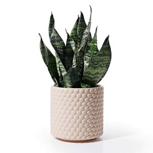 Planters Pots for Plants Indoor - POTEY 054302 6 Inch Ceramic Vintage Style Polka Dot Patterned Planters Bonsai Container with Drainage Hole for Plants Succulent Cactus(Plants NOT Included)
