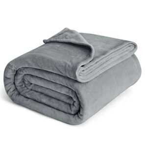 Bedsure Fleece Bed Blankets Queen Size Grey - Soft Lightweight Plush Fuzzy Cozy Luxury Blanket Microfiber, 90x90 inches