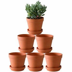 Terra Cotta Pots with Saucer- 6-Pack Large Terracotta Pot Clay Pots 5.5'' Clay Ceramic Pottery Planter Cactus Flower Pots Succulent Pot with Drainage Hole- Great for Plants,Crafts Terra Cotta Planter
