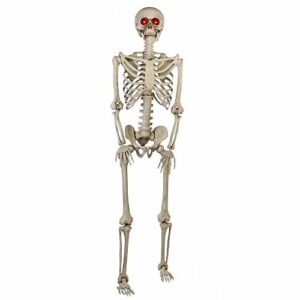 Home Accents HolidayGanmm 5 ft. Poseable Skeleton with LED Illumination