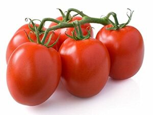 30+ Italian Roma Tomato Seeds, Heirloom Non-GMO, Determinate, Open-Pollinated, Old-Fashioned Taste, Smooth, Sweet, Delicious, from USA