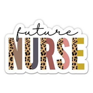 Future Nurse Stickers - 2 Pack of 3
