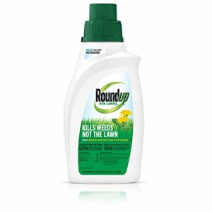 Roundup For Lawns2 Concentrate (Northern), 32 oz. - Lawn Safe Weed Killer for Northern Lawns, Kills Crabgrass, Dandelion, Clover and Yellow Nutsedge - Kills Weeds, Not the Lawn