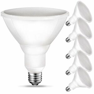 Energetic PAR38 LED Flood Outdoor Light Bulb, 3000K Warm White, 90W Equivalent (11 Watt), 900 Lumens, E26 Base, Non-Dimmable, Wet Rated, UL, 6 Pack