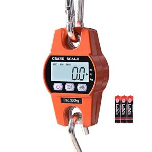 𝗙𝘂𝘇𝗶𝗼𝗻 Hanging Scale 𝟲𝟲𝟬𝗹𝗯, High Accuracy, Stainless Steel Heavy Duty Crane Scale with 2.5” LCD, Digital Weight Deer Scale with Hold/Tare for Farms, Hunting and Luggage
