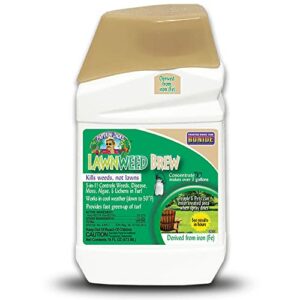 Bonide 2613 Captain Jack's Lawnweed Brew Concentrate, 16 oz