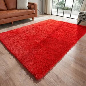 GKLUCKIN Shag Ultra Soft Area Rug, Fluffy 5'x7' Red Rugs Plush Fuzzy Non-Skid Indoor Faux Fur Rugs Furry Carpets for Living Room Bedroom Nursery Kids Playroom Decor