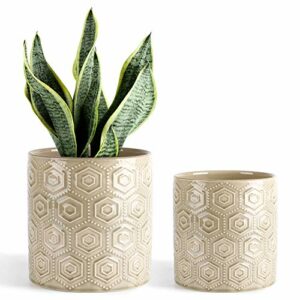 Greenaholics Ceramic Plant Pots - 6 and 5 Inch Planters with Drainage Holes for Flower Indoor Decoration - Yellow, Set of 2