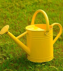 Joequality Watering Can for Outdoor Plants，1 Gallon Metal Plant Watering Can with Detachable Diffuser Spout，Galvanized Steel Gardening Tools，Yellow