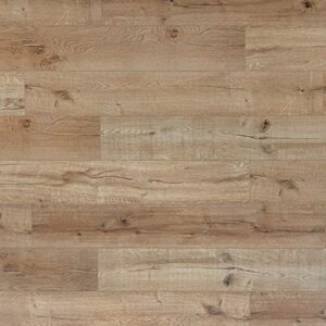 Bestlaminate Adduri HD European White Oak Flooring- 5mm 20 mil Wear Layer- Underlayment Attached - Luxury SPC Vinyl Plank [Sample], Beige